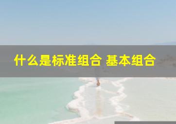 什么是标准组合 基本组合